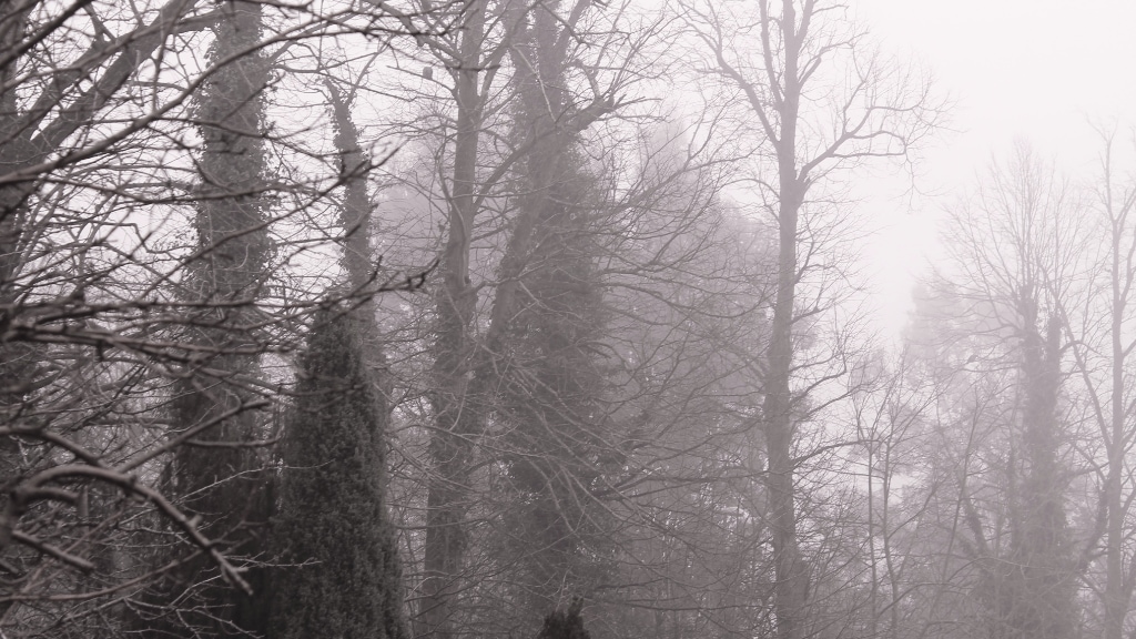 1203: Three Poems for Sahara&nbsp;Air