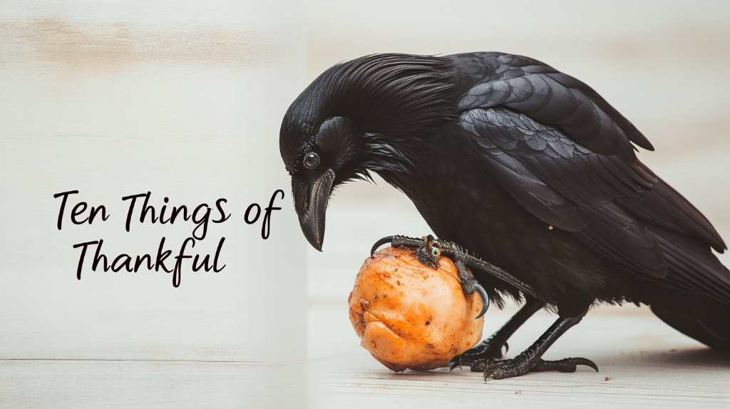 Ten Things of Thankful, crow