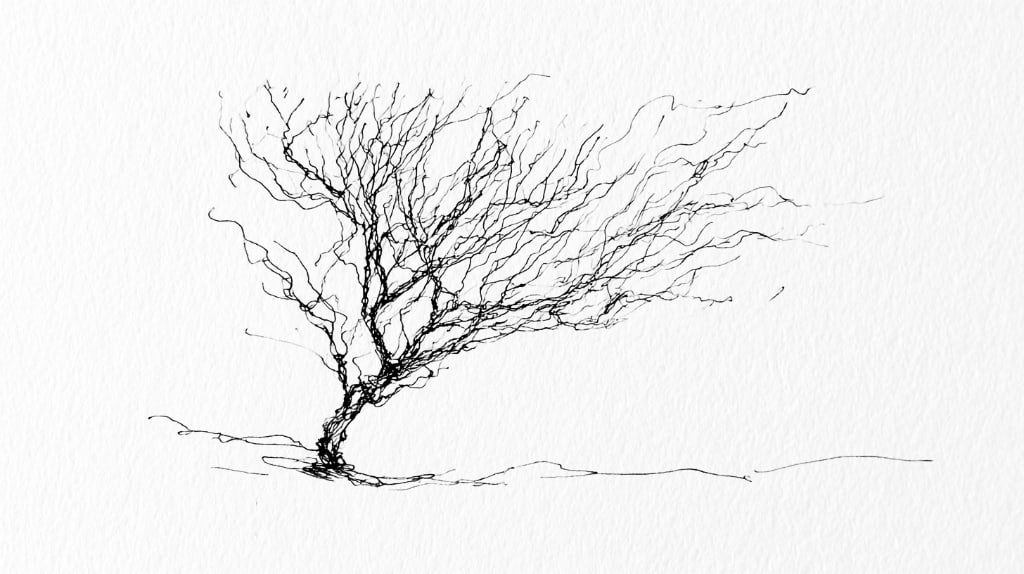 single line drawing of a bare tree on white paper