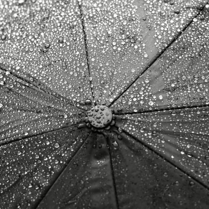 B&W umbrella