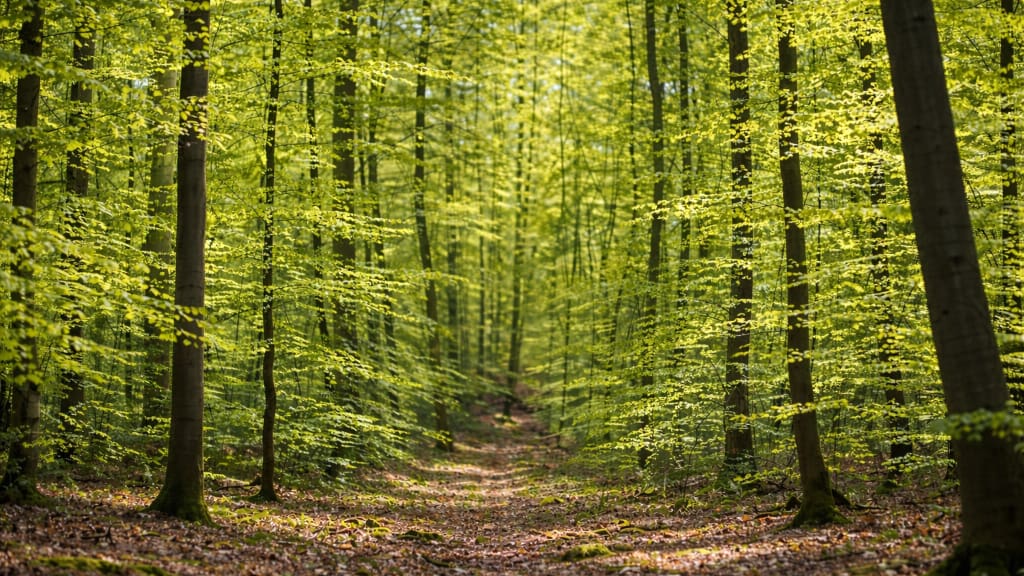 AprPAD — Day&nbsp;29