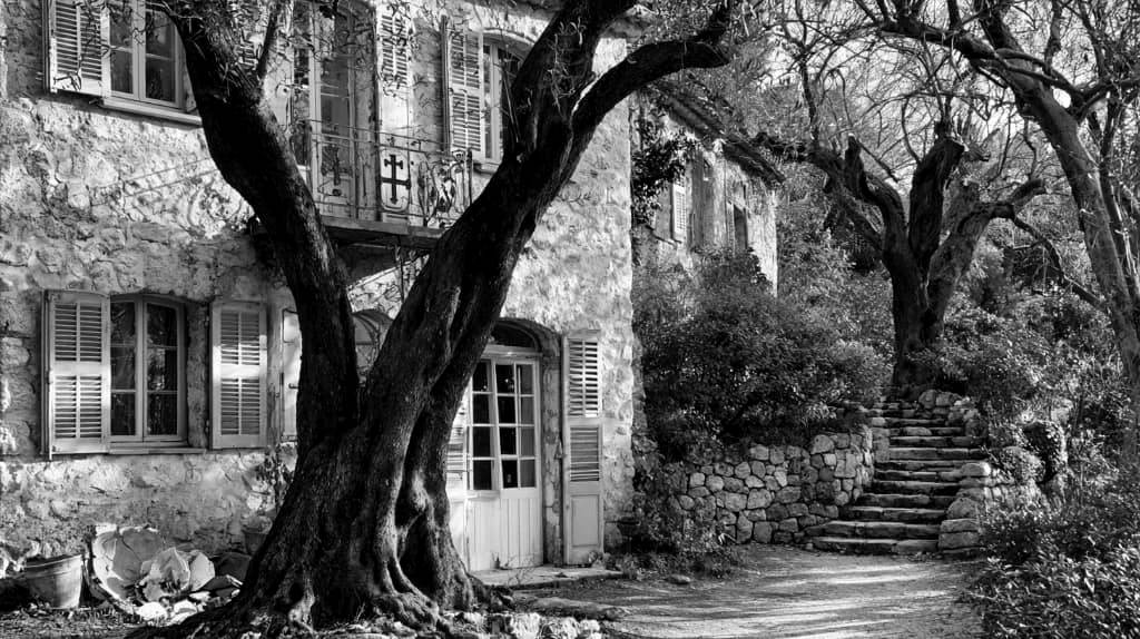 b&w /renoir house with old olive trees