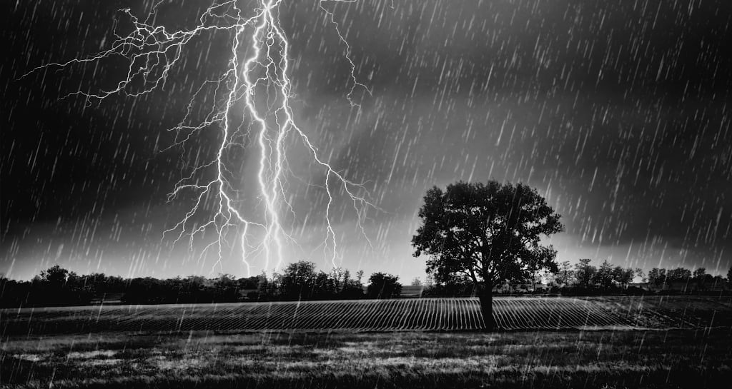 B&W image lightning over a field with a tree