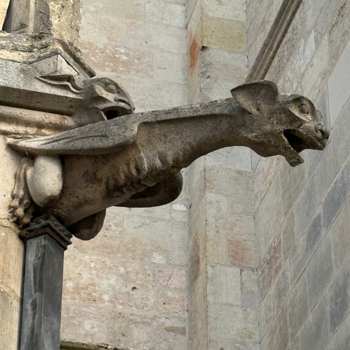 Gargoyle at the cathedral