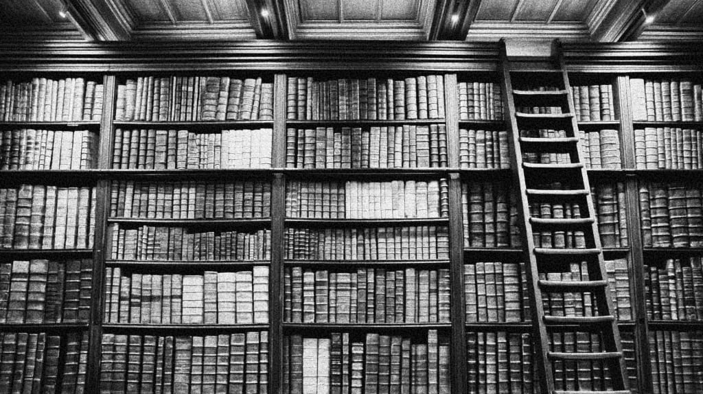 B&W old library, wall with ladder